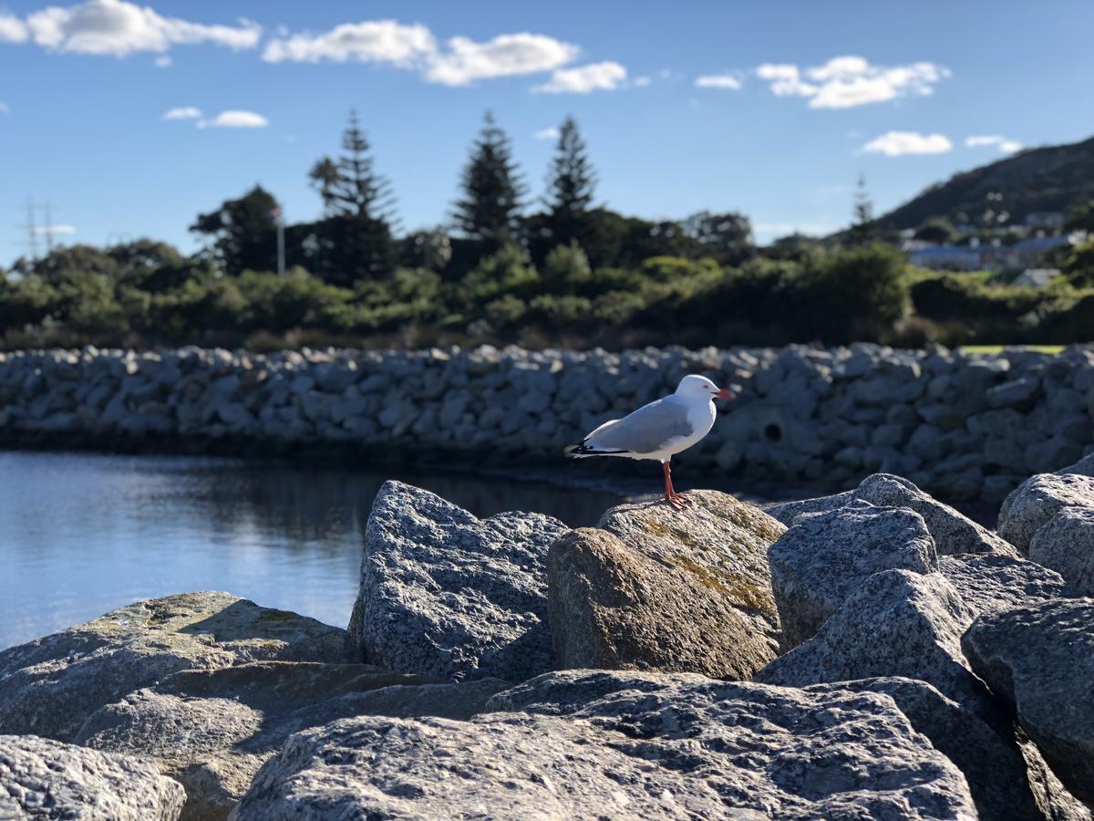 Albany Foreshore Guest House Eksteriør bilde
